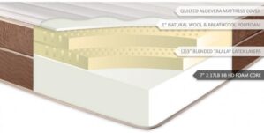 Brooklyn Bedding Twin Extra Long 14″ Aloe Alexis Custom Comfort Latex Mattress with 6 inches of Latex