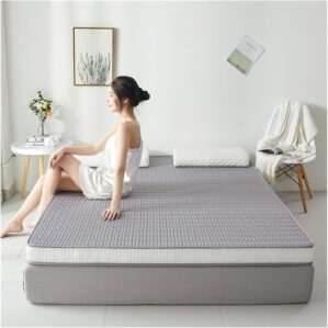 Full Size Mattress, Latex Mattress, Memory Foam Mattress, Thickened Single and Double Student Dormitory Mattress, Foldable Bedroom Tatami Mattress (Color : Gray, Size : 200 * 220CM_10CM)