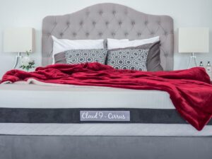 Cloud 9 Latex Mattress: Plush Full 8in, Responsive with Excellent Support, Sleep Cooler, High def Tencel Based Fabric, Certi-PUR & Oeko-Tex 100 Certified, 10-Yr Warranty, 100 Day Trial, Made in USA