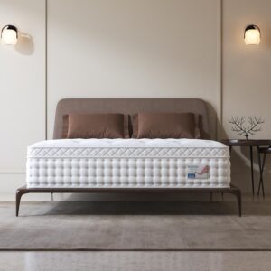 BedStory Queen Mattress, 12 Inch Hybrid Queen Mattress with Cooling Gel Memory Foam and Individual Pocket Spring, Hotel Collection Firm Mattresses for Cool Night & Pressure Relief, 365 Night Trial