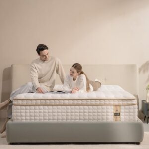Queen Mattress,12 Inch Queen Size Mattresses in a Box,Memory Foam Hybrid Mattress ,with Individual Pocket Spring for Motion Isolation & Silent Sleep&Lumbar Support & Pressure Relief,Medium Firm