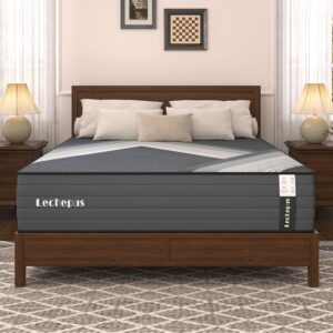 Queen Mattress 10 Inch,Lechepus 5-Zone Medium Firm Mattress with Lumbar & Shoulder Support, Hybrid for Pressure Relief,Edge Support & Motion Isolation, Fiberglass Free & CertiPUR-US