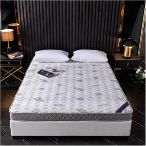 Mattress Topper Queen, Natural Latex Mattress, Single Bed Mattress in Student Dormitory, Soft Tatami Double Bed Mattress, Ergonomic, Medium Comfort (Color : Style2, Size : 35.4 * 78.7in*2in)