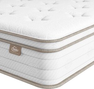 TeQsli Queen Mattress 10 Inch, Sleep Cooler Eggshell Memory Foam and 7 Zone Pocket Innerspring Hybrid Mattresses Medium Firm, Queen Bed Mattress in a Box, 100-Night Trial, 10-Year Support