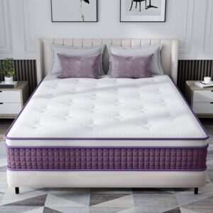 Queen Size Mattress, 10 Inch Queen Mattress Hybrid with Plush Foam and Individually Pocketed Coils, Queen Mattress in a Box, Medium Soft Motion Isolation for Pressure Relief
