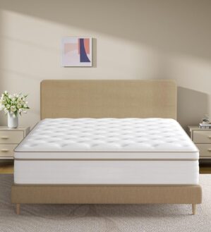 Full Mattress,Hybrid 10 Inch Full Size Mattress in a Box,Memory Foam & Individually Pocket Spring for Pain Relief,Medium Firm Full Mattresses,CertiPUR-US.