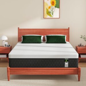 Full Size Hybrid Mattress in a Box, 10 Inch Firm Mattress with Memory Foam, Motion Isolation & Strong Edge Support