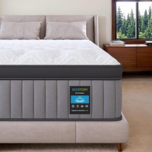 BedStory Plush Queen Mattress 14 Inch – Deep Sleep Hybrid Mattresses Pain Relief – 7-Zone Contouring Soft Bed in a Box, Extra Lumbar Support – 365-Night Trial, Fiberglass-Free, CertiPUR-US Certified
