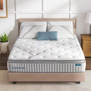 Queen Mattresses,12 Inch Hybrid Mattress,Cooling Gel Memory Foam with Pocket Spring Mattress in Box for Pressure Relief and Balance Support, Medium Feel Mattress,CertiPUR-US Certified