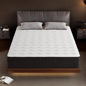 Queen Mattress, 10-in Deluxe Hybrid Mattresses, Memory Foam Mattress in a Box, Individual Pocket Spring-Motion Isolation-Medium Firm-Extra Edge Support, CertiPUR-US, 365 Nights Trial