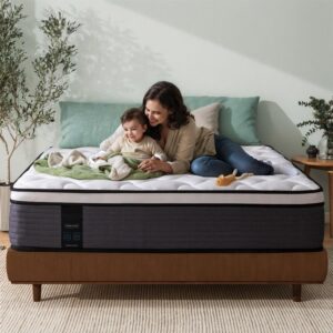 INSEN 10 Inch Memory Foam Hybrid Mattress in a Box, Motion Isolation Pocket Spring Mattress for Pressure Relief, CertiPUR-US Certified, Medium-Firm