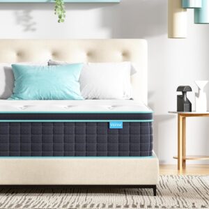 Queen Mattress in a Box, 12 Inch Memory Foam Pocket Spring Hybrid Queen Size Mattresses for Motion Isolation & Back Pain Relief, Edge Support