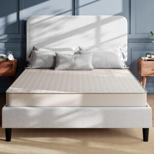Flash Furniture Dream 6 Inch Hybrid Mattress, Queen Size High Density Foam and Innerspring Mattress in a Box, CertiPur-US Certified Foam