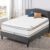 Greton Meduim Plush Eurotop Pillowtop Innerspring Mattress