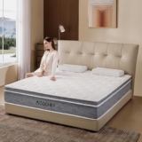 10 Inch Queen Mattress, Medium Firm Hybrid Memory Foam Queen Size Mattress in a Box, Individual Pocket Springs & Motion Isolation, Pressure Relief, Breathable, Fiberglass Free, CertiPUR-US